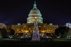 Capitol-Christmas-Tree_Dec-2018-1