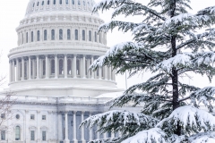 Capitol-Snow_Jan-2019-1