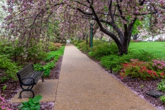 Lower-Senate-Park-Spring-1