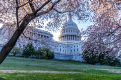 US-Capitol_Spring-2019-1