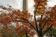 1_Washington-Monument-Autumn-1