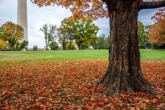 Washington-Monument-Autumn-3