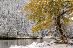 Cattlemans-Bridge-1