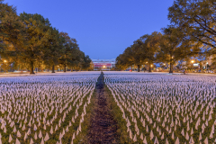 Covid-Flags-RFK-1
