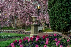 Smithsonian-Castle-Spring-1
